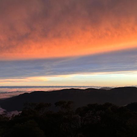 Valley Of The Waters B&B Wentworth Falls Bagian luar foto