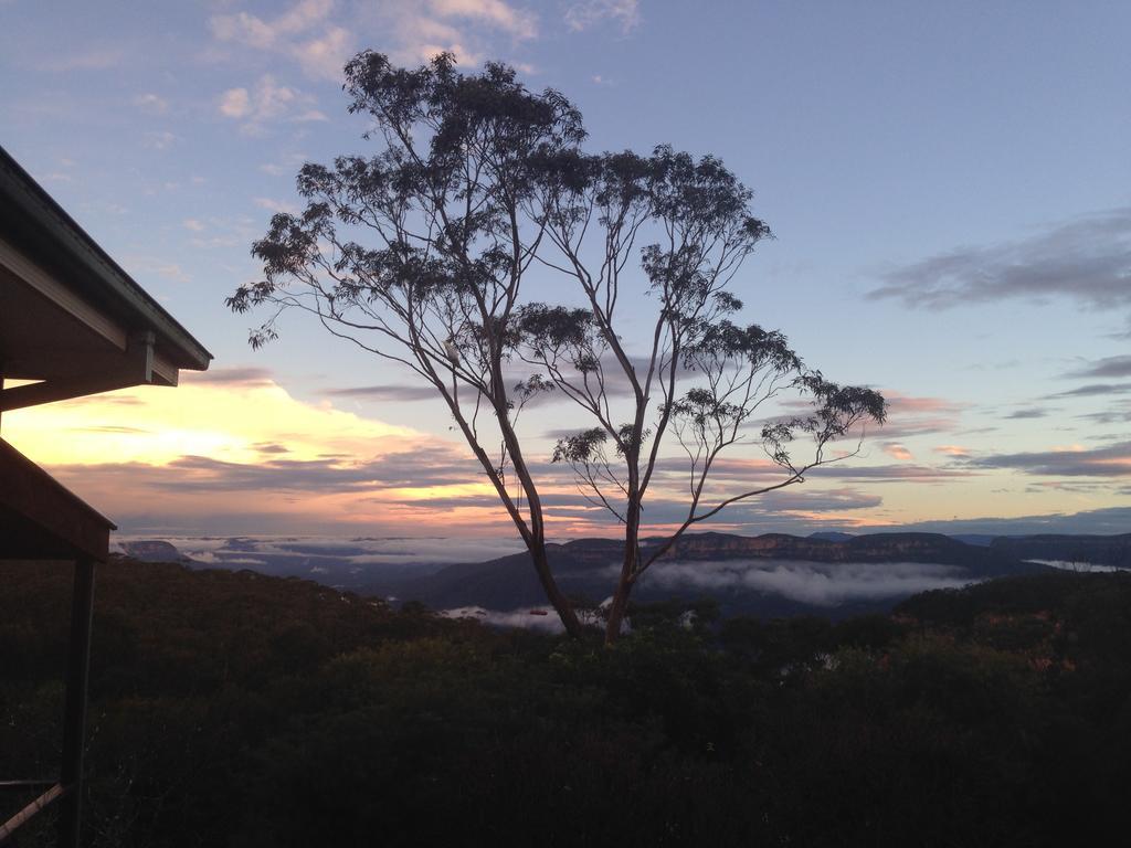 Valley Of The Waters B&B Wentworth Falls Bagian luar foto
