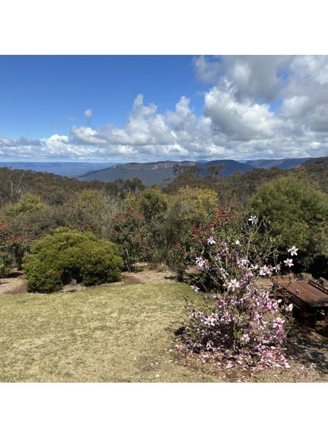 Valley Of The Waters B&B Wentworth Falls Bagian luar foto