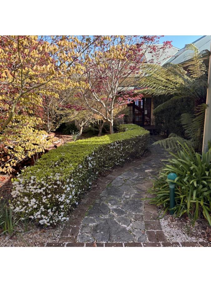 Valley Of The Waters B&B Wentworth Falls Bagian luar foto