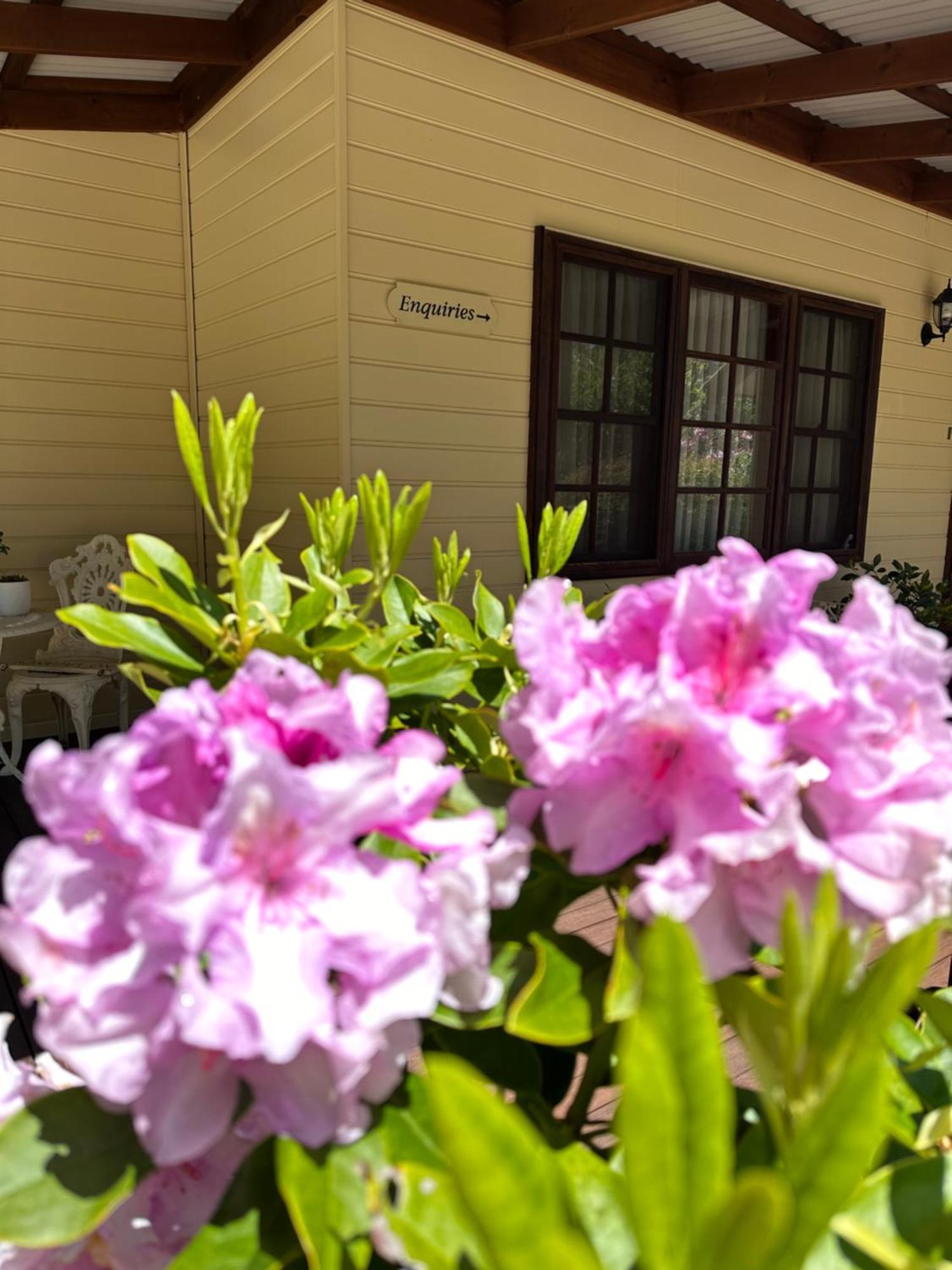 Valley Of The Waters B&B Wentworth Falls Bagian luar foto