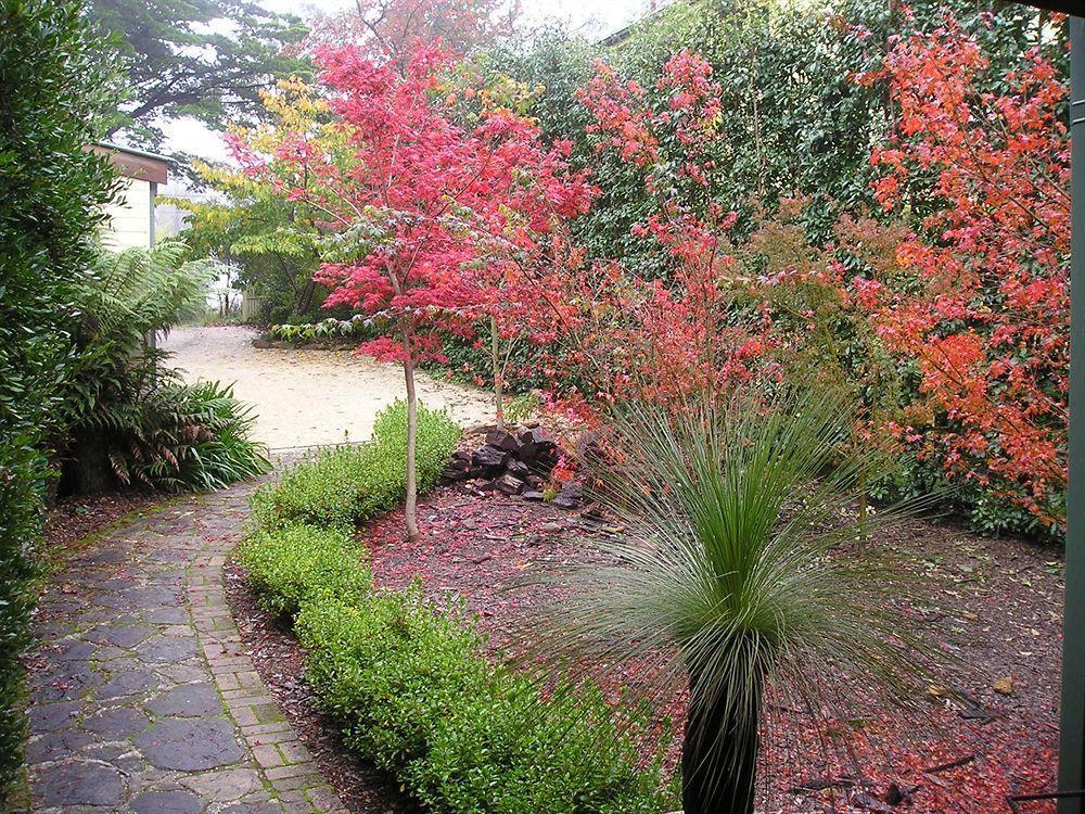 Valley Of The Waters B&B Wentworth Falls Bagian luar foto