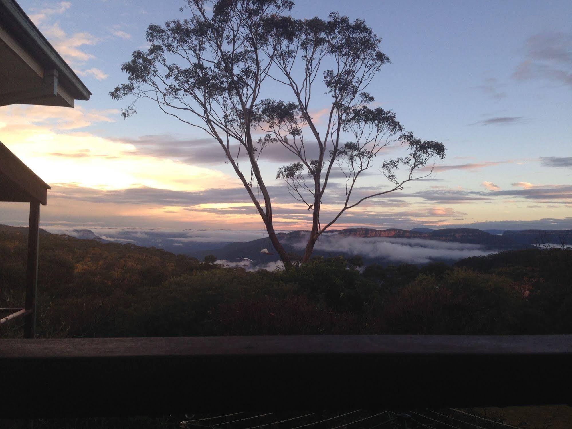Valley Of The Waters B&B Wentworth Falls Bagian luar foto