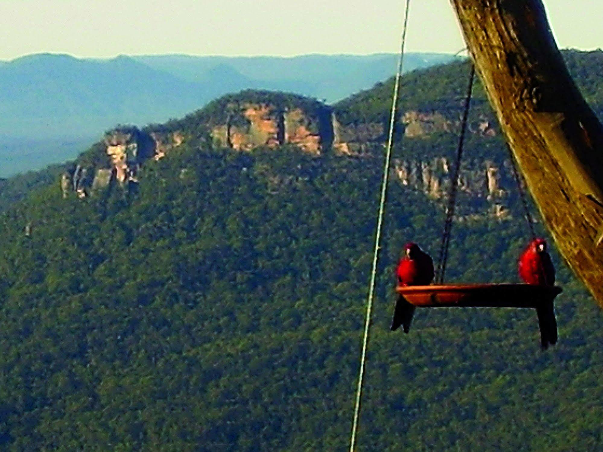 Valley Of The Waters B&B Wentworth Falls Bagian luar foto