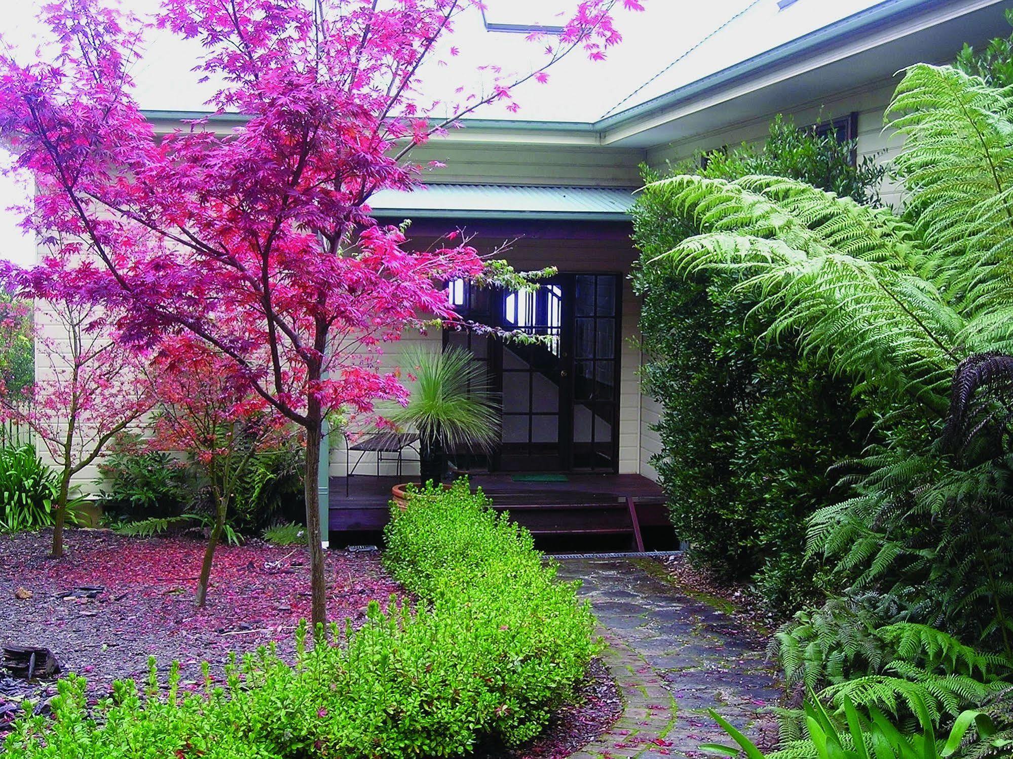 Valley Of The Waters B&B Wentworth Falls Bagian luar foto