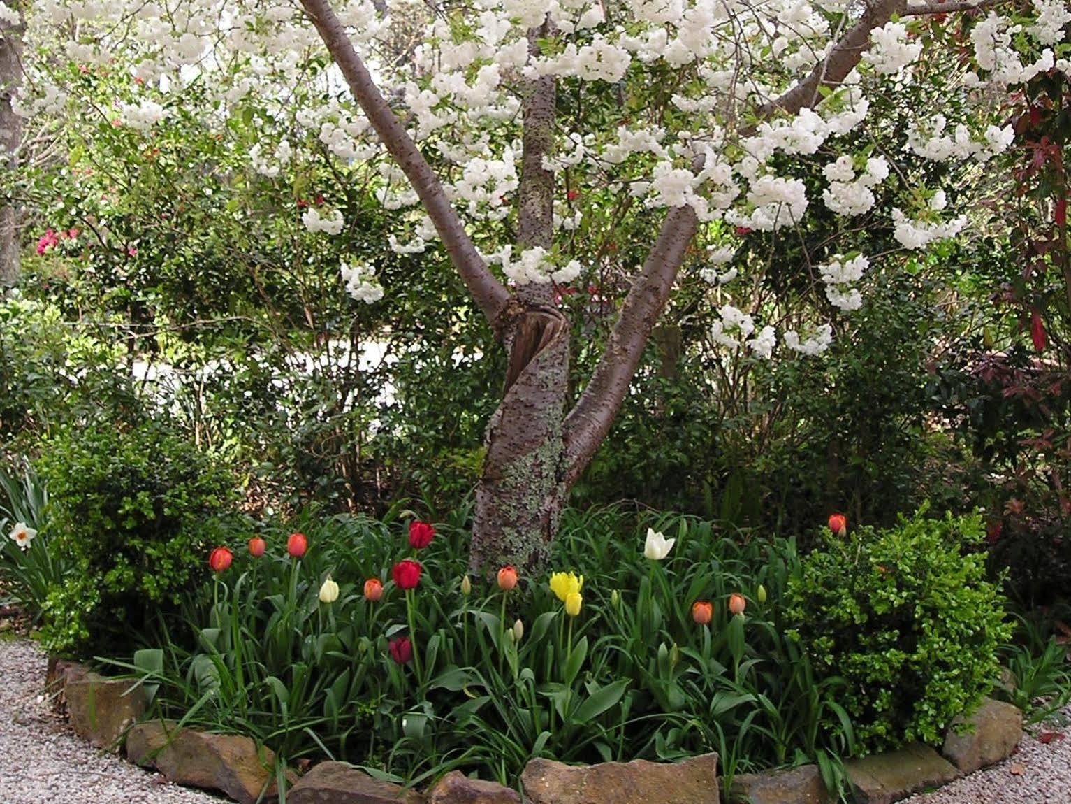 Valley Of The Waters B&B Wentworth Falls Bagian luar foto