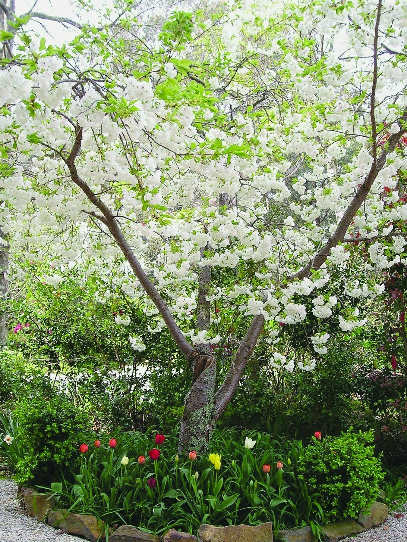 Valley Of The Waters B&B Wentworth Falls Bagian luar foto